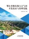 鄂尔多斯东缘大吉气田开发技术与管理实践封面