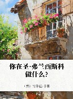你在圣·弗兰西斯科做什么?