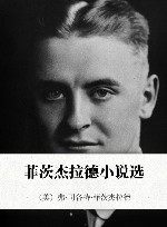 菲茨杰拉德小说选
