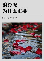 浪漫派为什么重要 封面