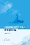 云南省审计机关企业审计典型案例汇编封面