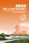 2022湖南100强企业发展报告