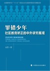 罪错少年社区教育矫正的中外研究概观封面