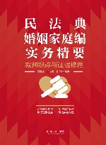 民法典婚姻家庭编实务精要  裁判观点与证据梳理