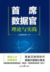 首席数据官  理论与实践