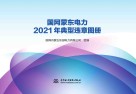国网蒙东电力2021年典型违章图册封面
