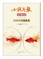 小说月报2022年精品集  大字版