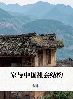 家与中国社会结构