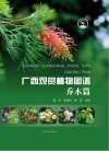 自然资源研究丛书  广西观赏植物图谱  乔木篇封面