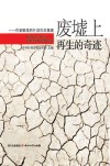 废墟上再生的奇迹  作家眼里的什邡灾后重建