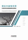 柴达木盆地东部石炭页岩储渗特征研究封面