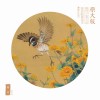 丽日 封面