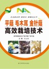 平菇  毛木耳  金针菇高效栽培技术封面