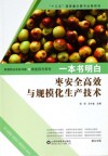 一本书明白 枣安全高效与规模化生产技术封面