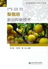 梨栽培新品种新技术