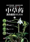 中草药真伪鉴别原色图谱  3