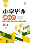 小学毕业冲刺卷  语文