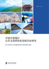 中国中部地区公共文化特色化发展实证研究  基于国家公共文化服务体系示范区城市实践封面