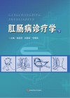 肛肠病诊疗学  下封面