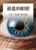 最蓝的眼睛 封面