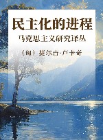 马克思主义研究译丛  民主化的进程  典藏版