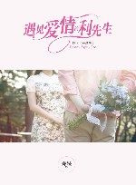 遇见爱情的利先生   原名   玻璃鞋