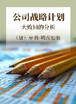 公司战略计划大败局的分析