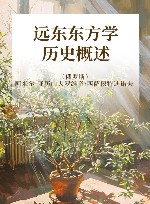 黑龙江流域暨远东历史文化丛书  远东东方学  历史概述封面