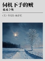 雅贼全集  伺机下手的贼