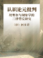 认识论元批判  胡塞尔与现象学的二律背反研究