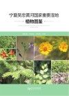 宁夏吴忠黄河国家重要湿地植物图鉴封面