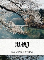 黑桃J 封面