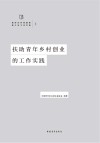 扶助青年乡村创业的工作实践封面