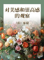 对美感和崇高感的观察