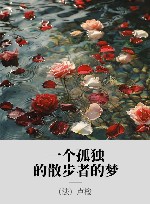 一个孤独的散步者的梦 封面