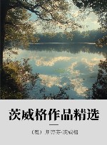 茨威格作品精选 封面