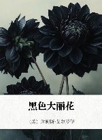 黑色大丽花