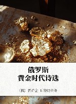 俄罗斯黄金时诗选 封面