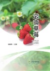 云南草莓封面