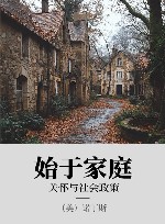 始于家庭  关怀与社会政策