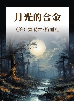 月光的合金 封面