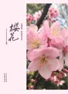 樱花封面